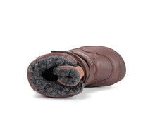 D.D.Step ghete baieti Barefoot captusite 25-30 Chocolate cu crocodil