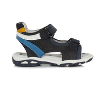  Royal Blue cu mustar si albastru