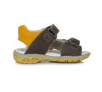  Dark Grey crocodil