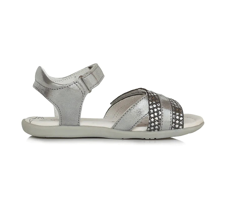 Grey cu stelute