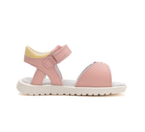  Pink cu albastru