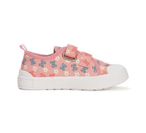  Daisy Pink fluturasi cu flori