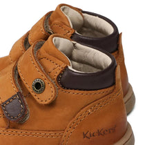  Tackeasy Camel Marron
