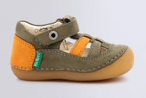  Sushy Kaki Orange