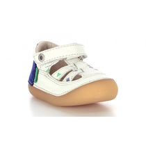  Sushy Blanc Casse 01